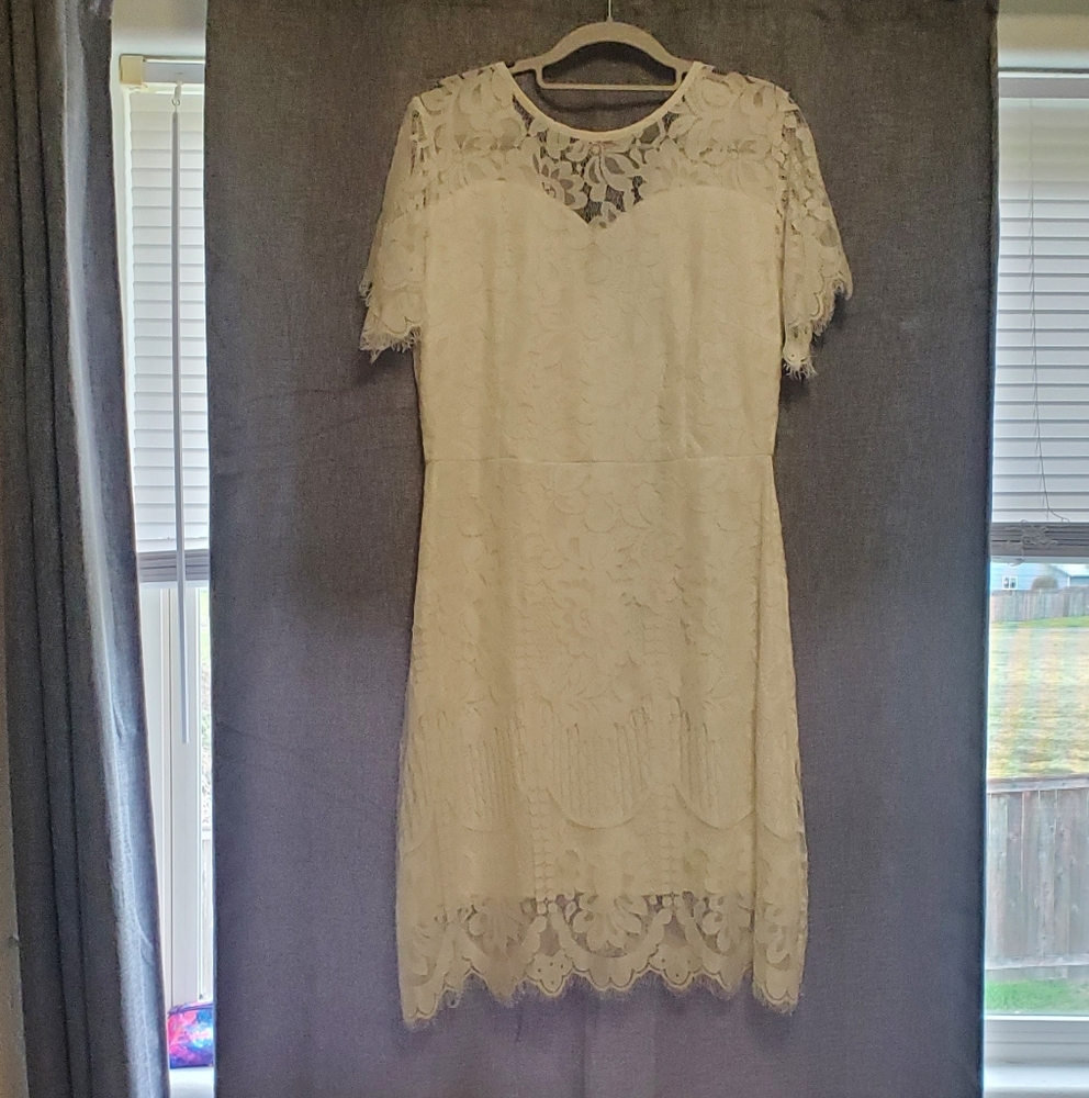 Elegant Cream Lace Dress
